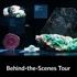 California Academy of Sciences attraction information