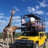 Out of Africa Wildlife Park attraction information