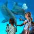 Baltimore Harbor Pass attraction information