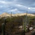 Across Arizona Tours attraction information