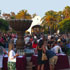 9th Annual California Wine Festival � Santa Barbara attraction information