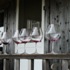 West of West Wine Festival attraction information