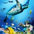SEA LIFE Aquarium attraction information